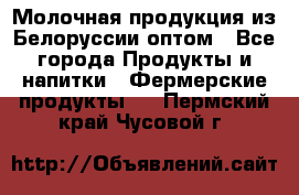 Молочная продукция из Белоруссии оптом - Все города Продукты и напитки » Фермерские продукты   . Пермский край,Чусовой г.